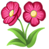 Illustration représentant une plante entière incluant ses fleurs, tiges et feuilles
