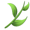 Illustration representing the stem of a plant