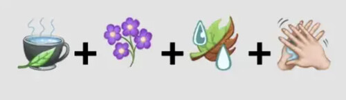  une série de quatre icônes représentant une tasse d’eau chaude, des sommités fleuries, des plantes fraîches ou sèches, et une préparation à appliquer sur la peau