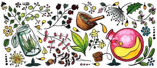 Illustration d’Hélène de l’atelier P’tites Boussoles représentant des plantes et des récipients sur fond blanc