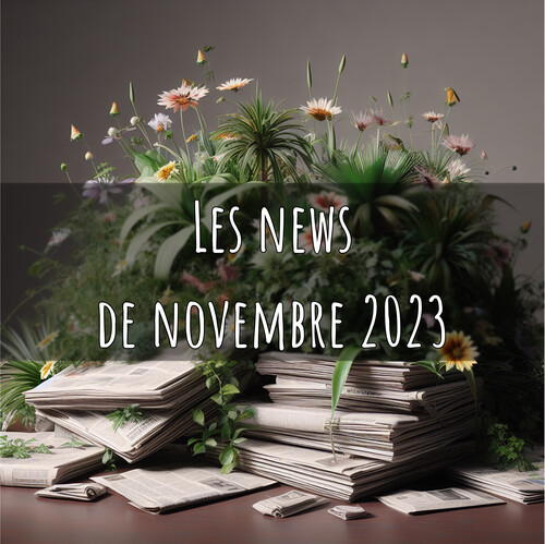 Illustration représentant des fleurs sur une pile de journaux avec l’indication “les news de novembre 2023”