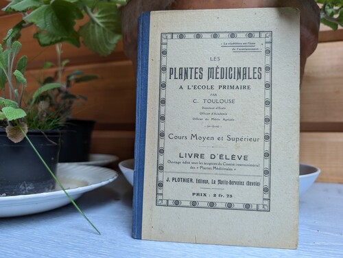 Photo montrant un livre intitulé les plantes médicinales à l’école primaire 