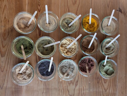 Top-down view of fifteen small glass bowls arranged on a wooden table, each containing a different medicinal plant powder (turmeric, ginger, nettle, etc.) with a hand-labeled wooden spatula.